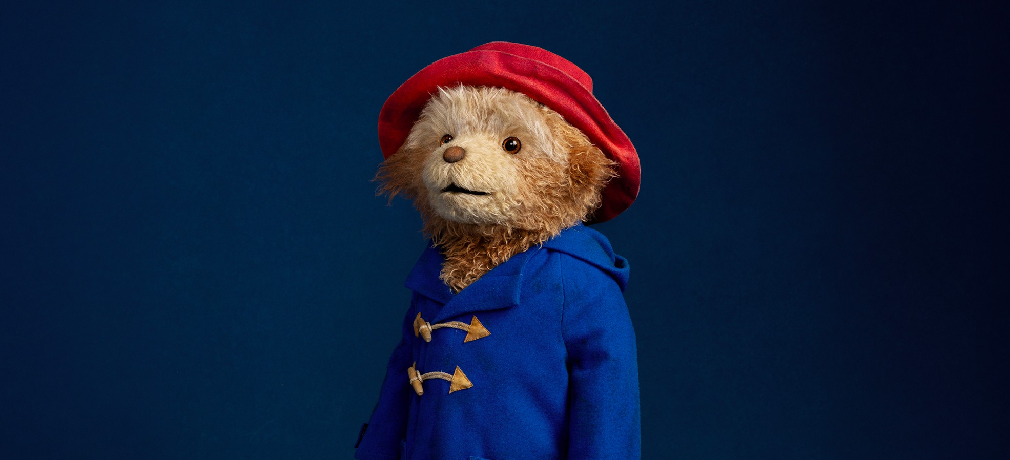 It's time to meet Paddington!