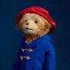 It’s time to meet Paddington!